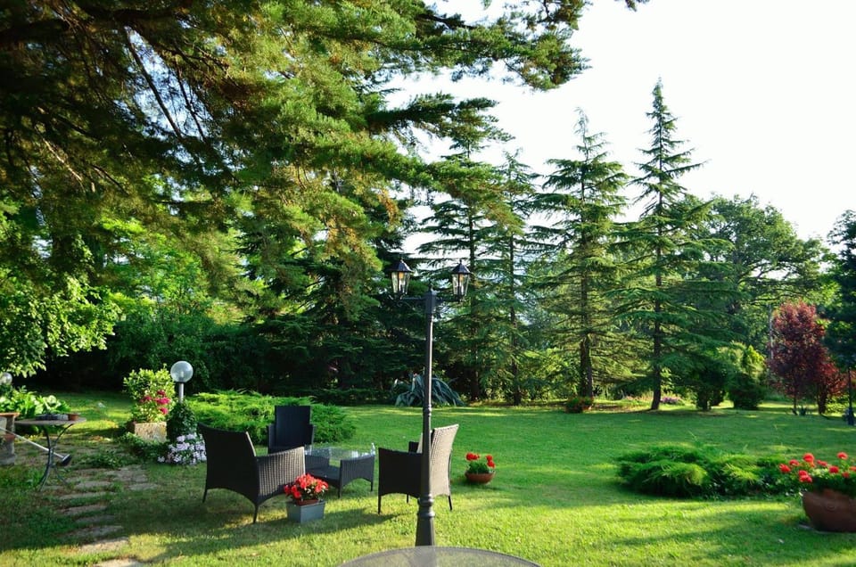 Garden