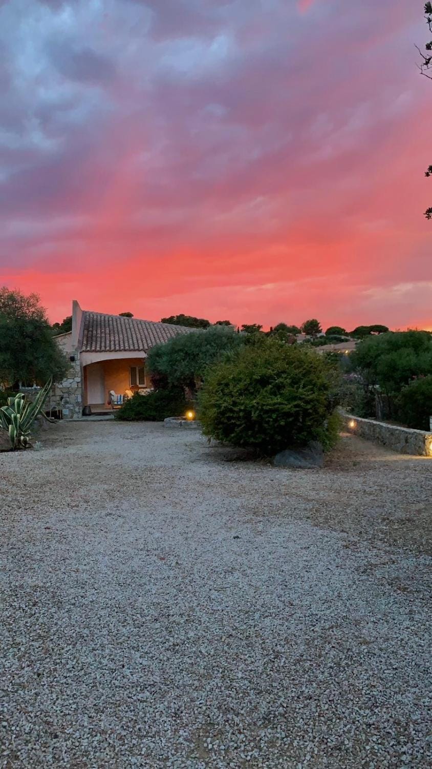 Property building, Garden, Sunset