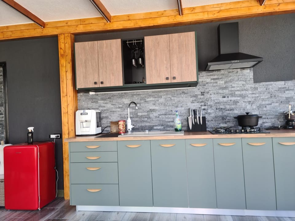 Garden of Silance Vacation rental in Craiova