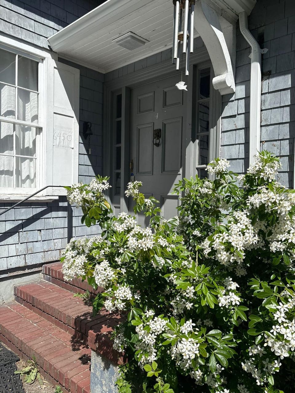 Vancouver Prime Location Room - Near YVR & Kits Beach - Free Parking Vacation rental in Vancouver