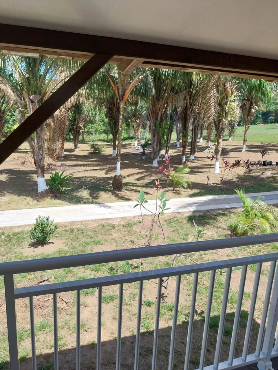 Garden, Balcony/Terrace