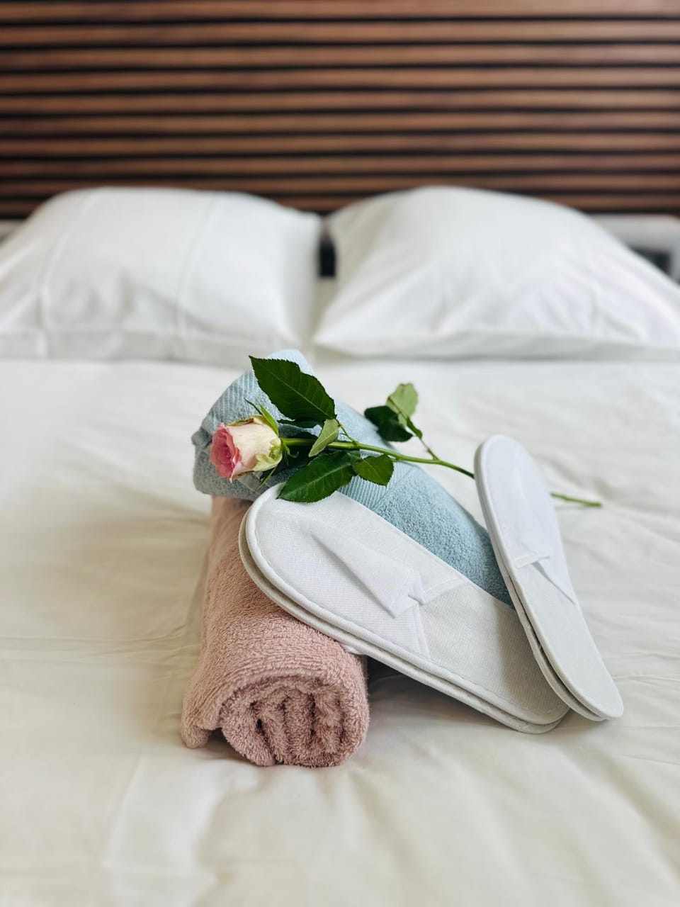 Chambre d'hôtes romantique avec jacuzzi privé, parking, aperçu mer Bed and Breakfast in Nice