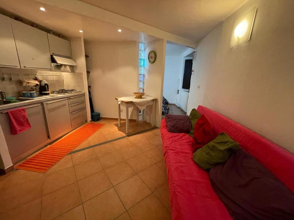 La casina nel centro storico di Castel del Piano Apartment in Tuscany