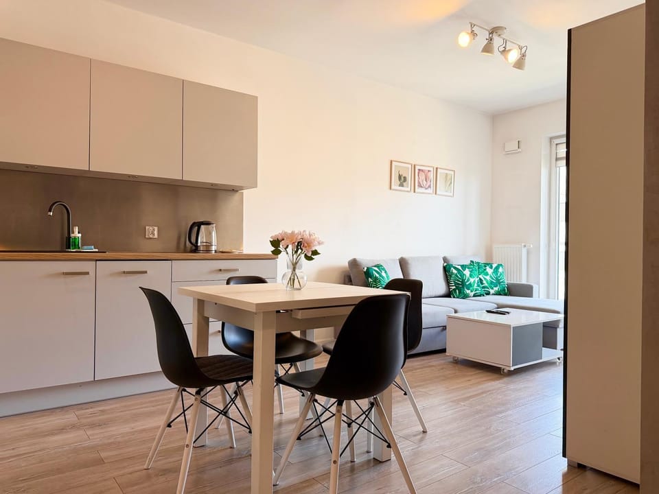 Kitchen or kitchenette, Living room, Seating area, Dining area