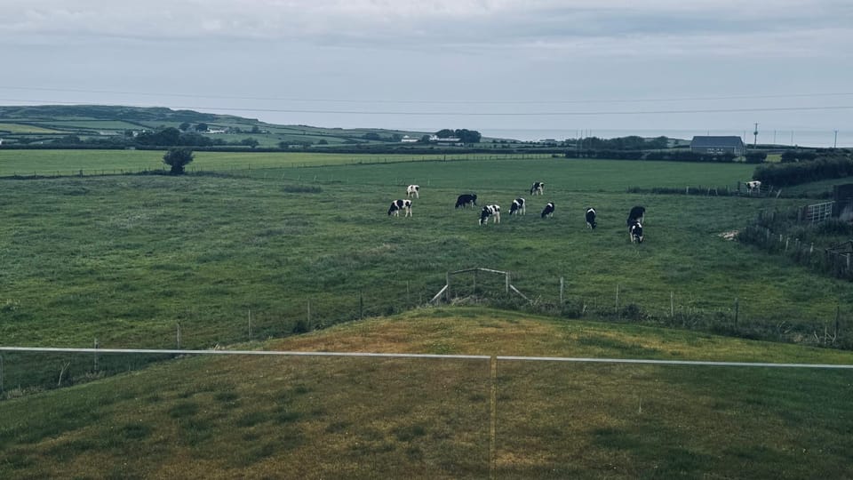 Causeway Coast Lookout House in Northern Ireland