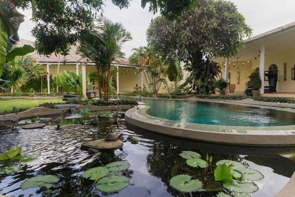 Patio, Garden view, Pool view, Swimming pool