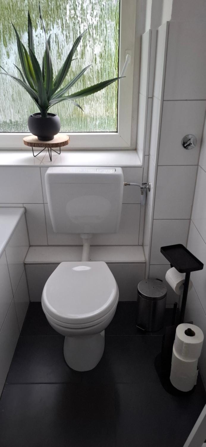 Toilet, Bathroom