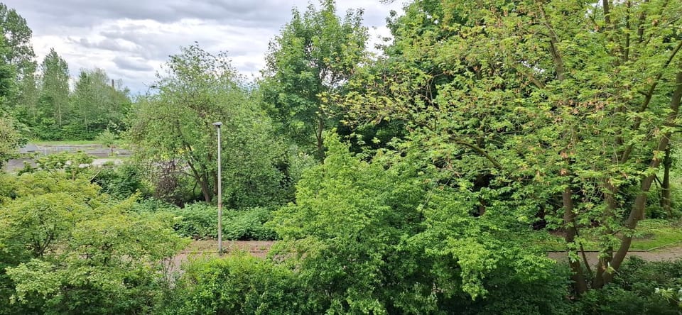 Spring, Day, Natural landscape, Garden, Garden view