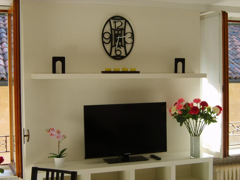 TV and multimedia