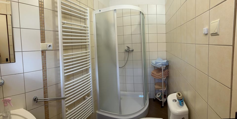 Shower, Toilet, Bathroom, towels