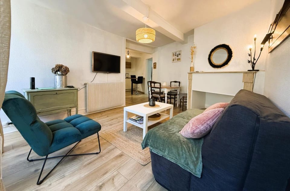 Appartement du château Apartment in Pau