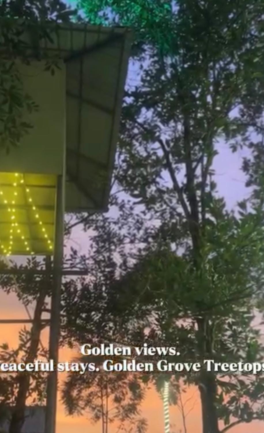 Golden Grove Treetops Luxury tent in Kerala