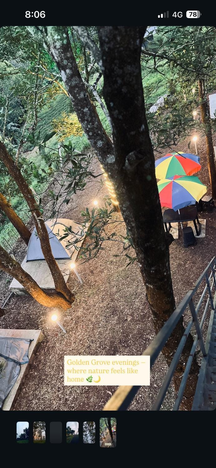 Golden Grove Treetops Luxury tent in Kerala