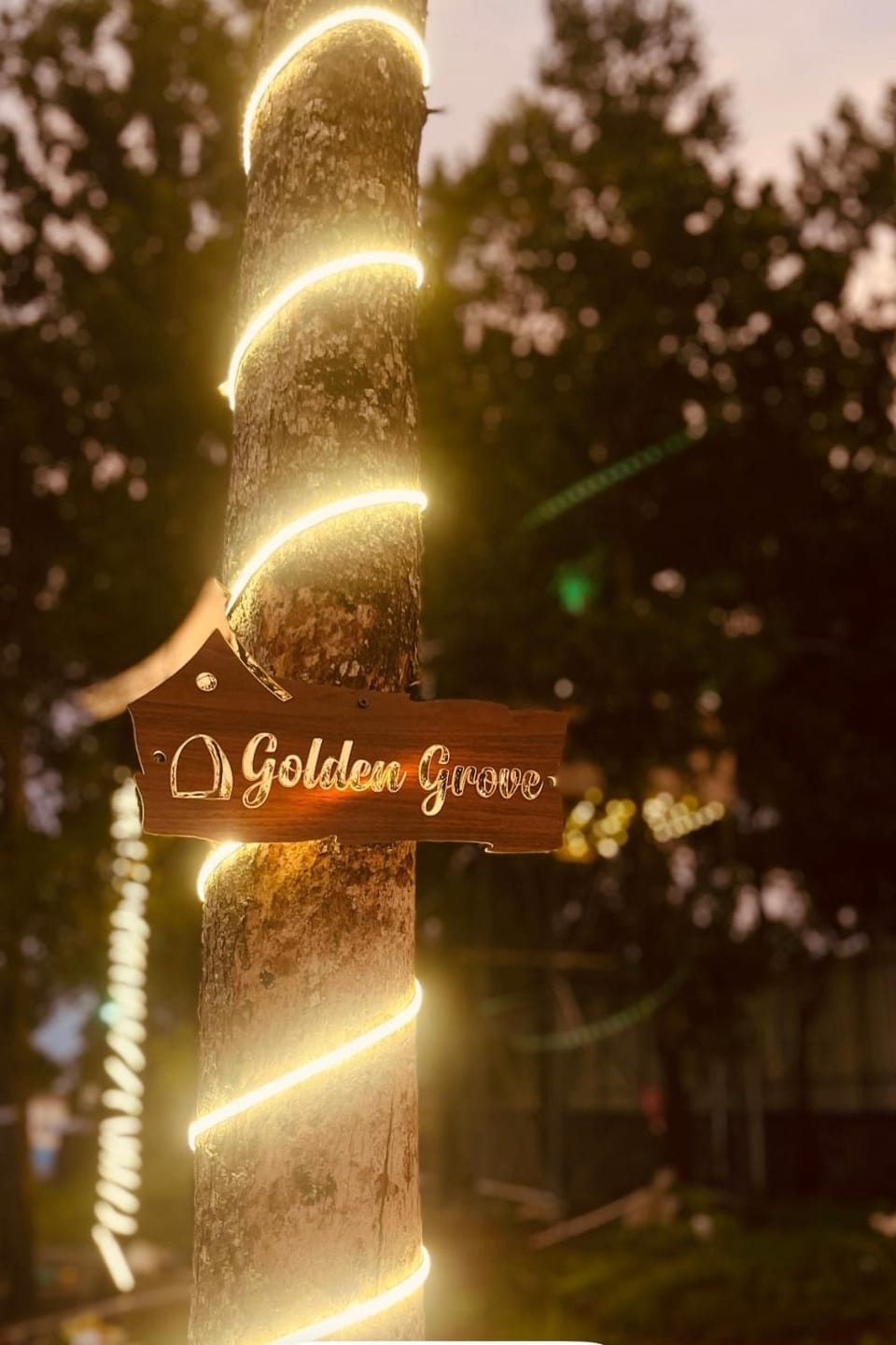 Golden Grove Treetops Luxury tent in Kerala
