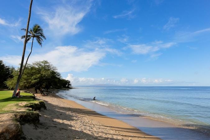 Maui Sunset #A-103 Oceanfront Complex, Ground Floor, Full A/C, Great Rates Apartment in Kihei