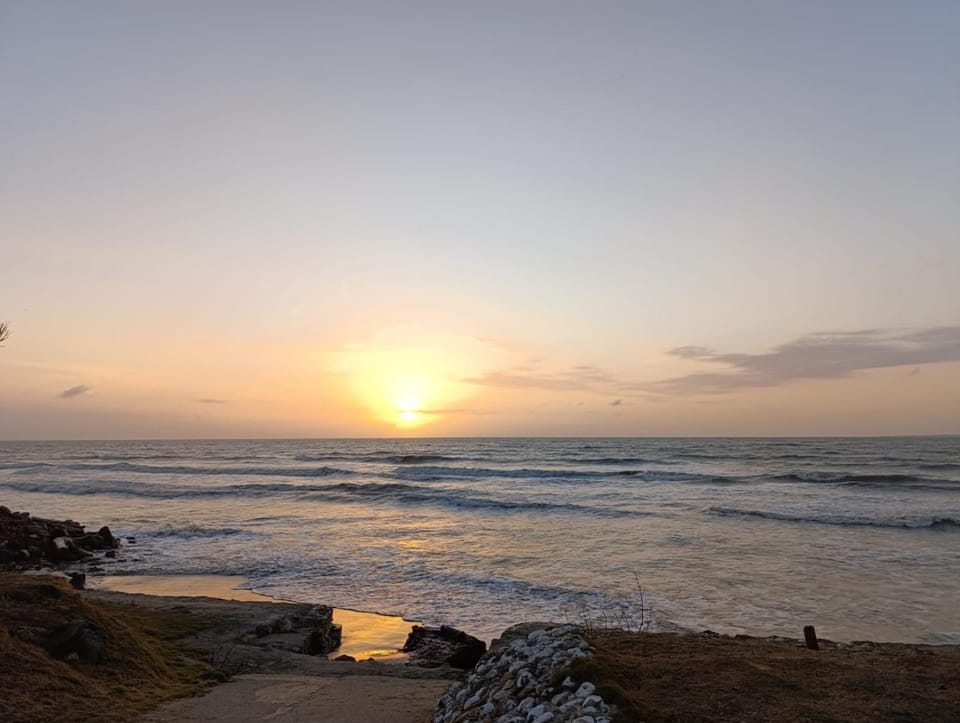 Natural landscape