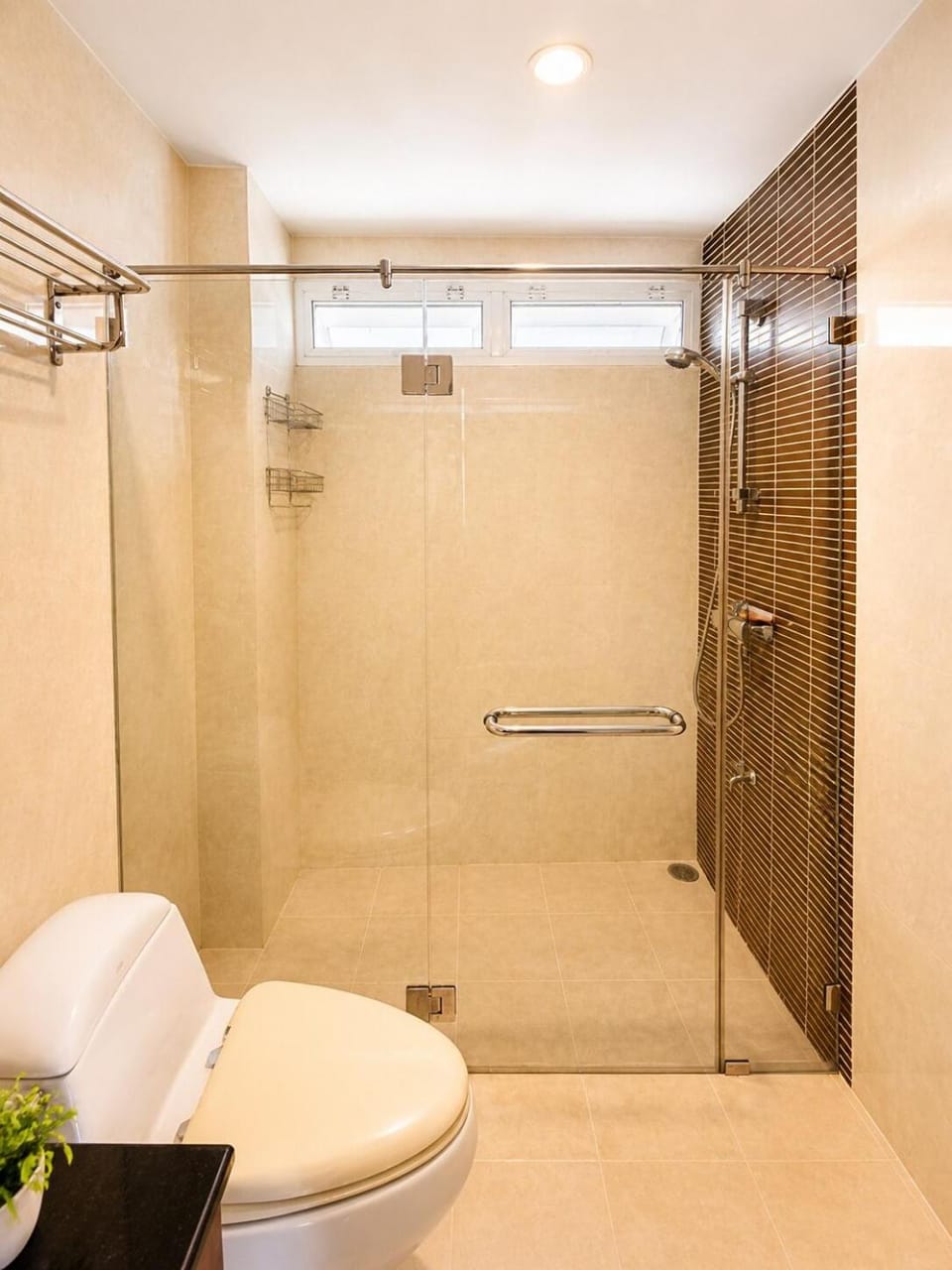 Shower, Toilet