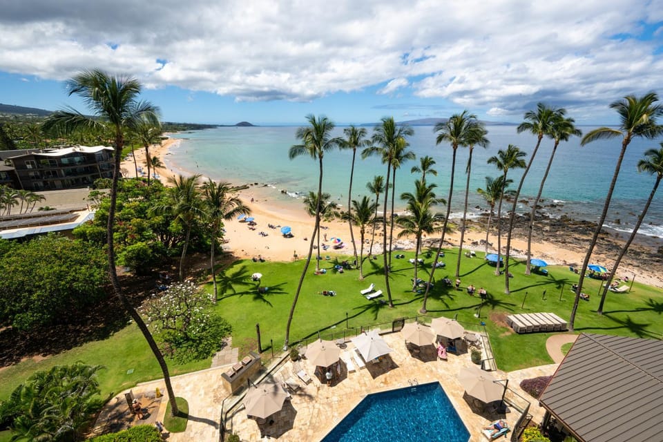 Beach, Pool view, Sea view, sunbed