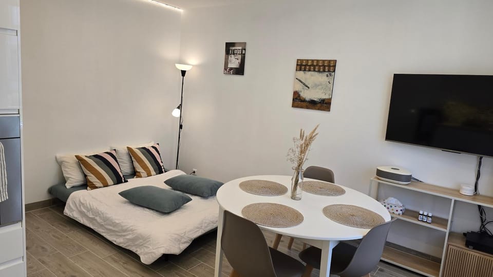 Appartement moderne climatisé avec parking 4 pers Mulhouse Apartment in Mulhouse