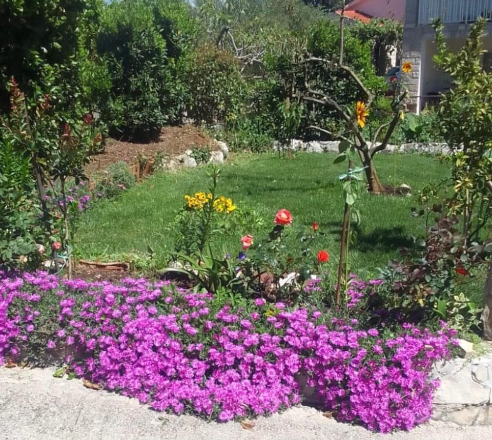 Garden, Garden