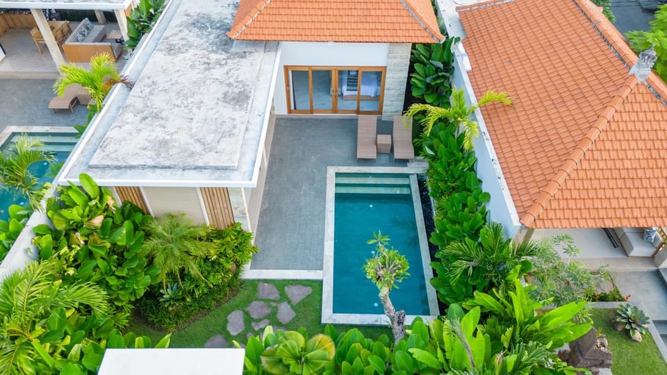 Property building, Patio, Spring, Day, Garden, Garden view, Pool view, Swimming pool
