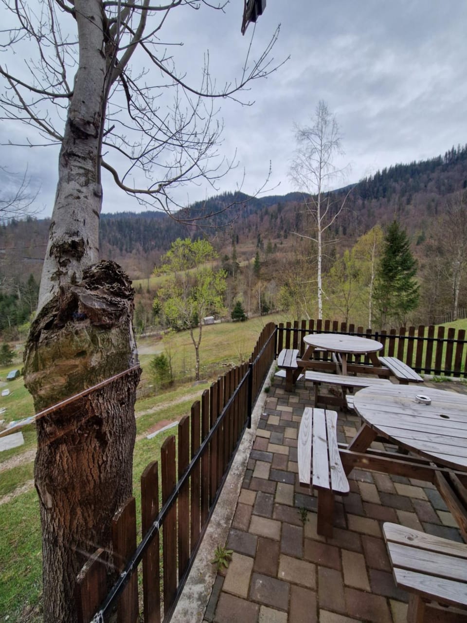 Deer Chalet Nature lodge in Romania