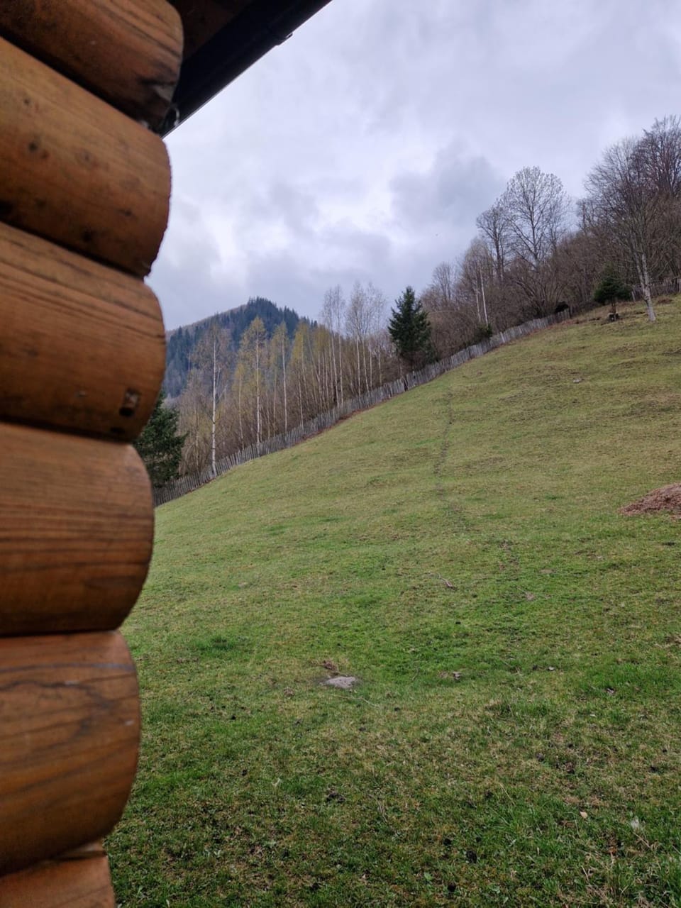 Spring, Day, Natural landscape, Mountain view