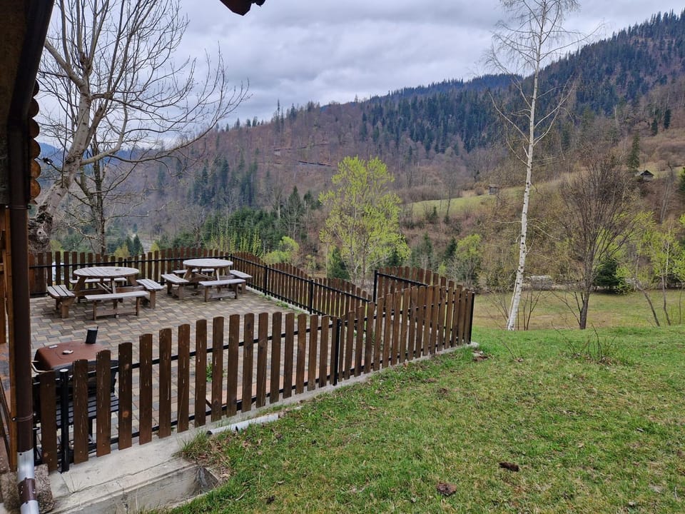 Deer Chalet Nature lodge in Romania