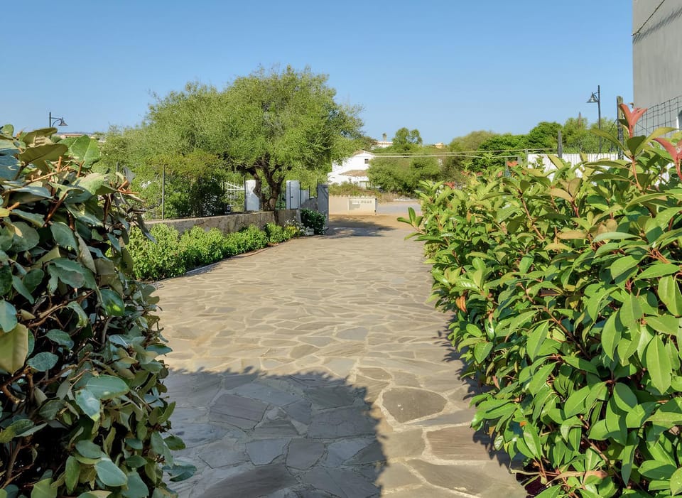 Garden view