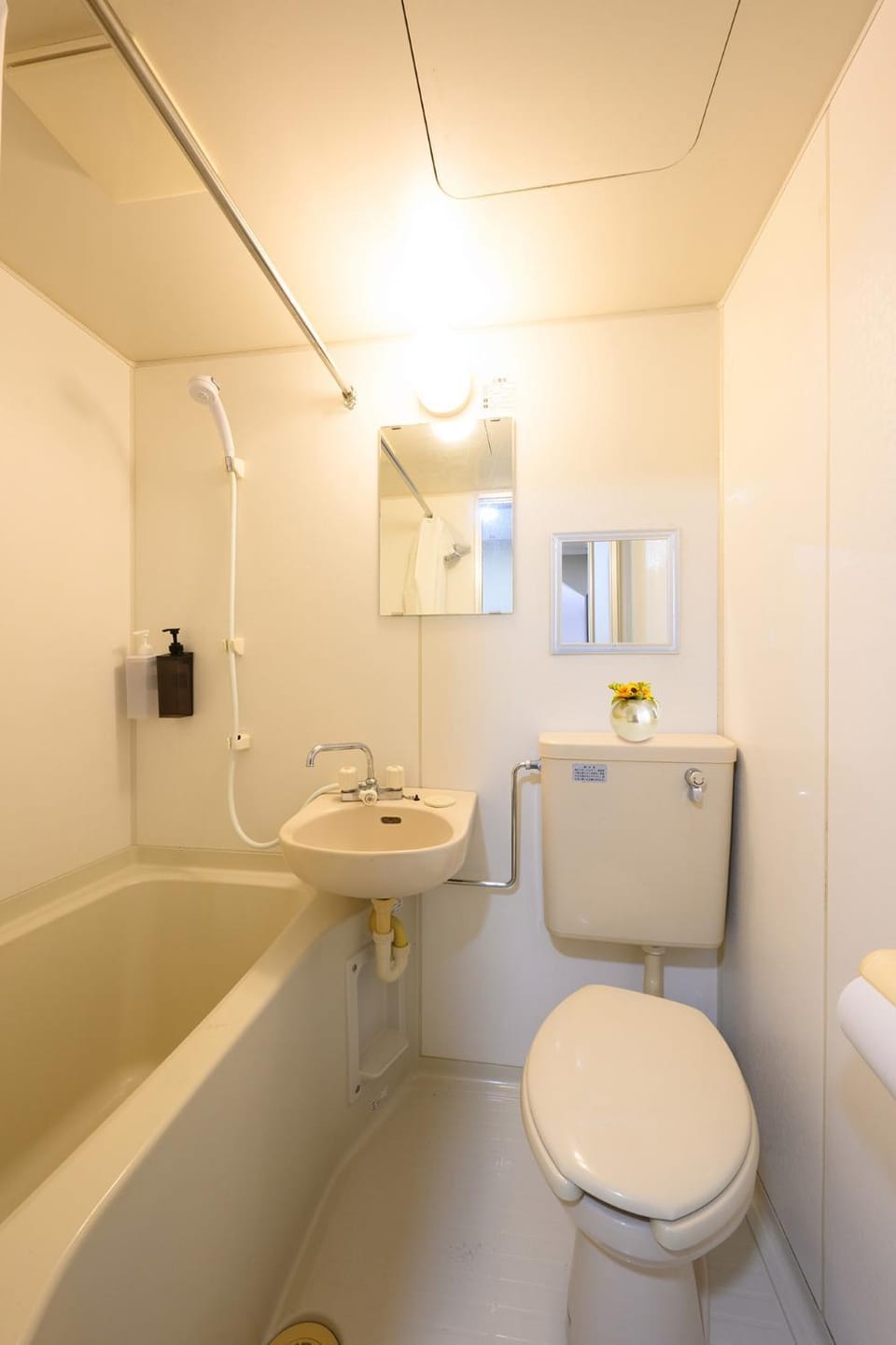 Toilet, Bath
