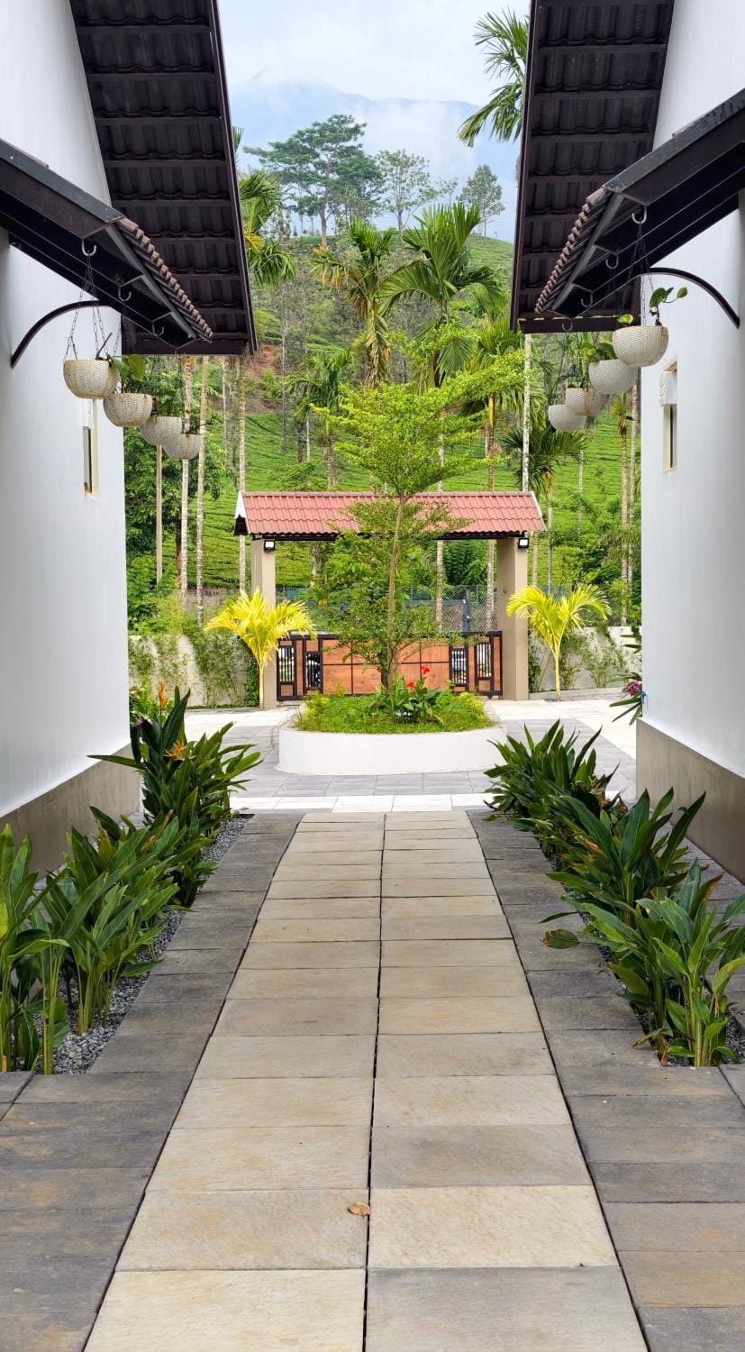 Property building, Day, Garden view
