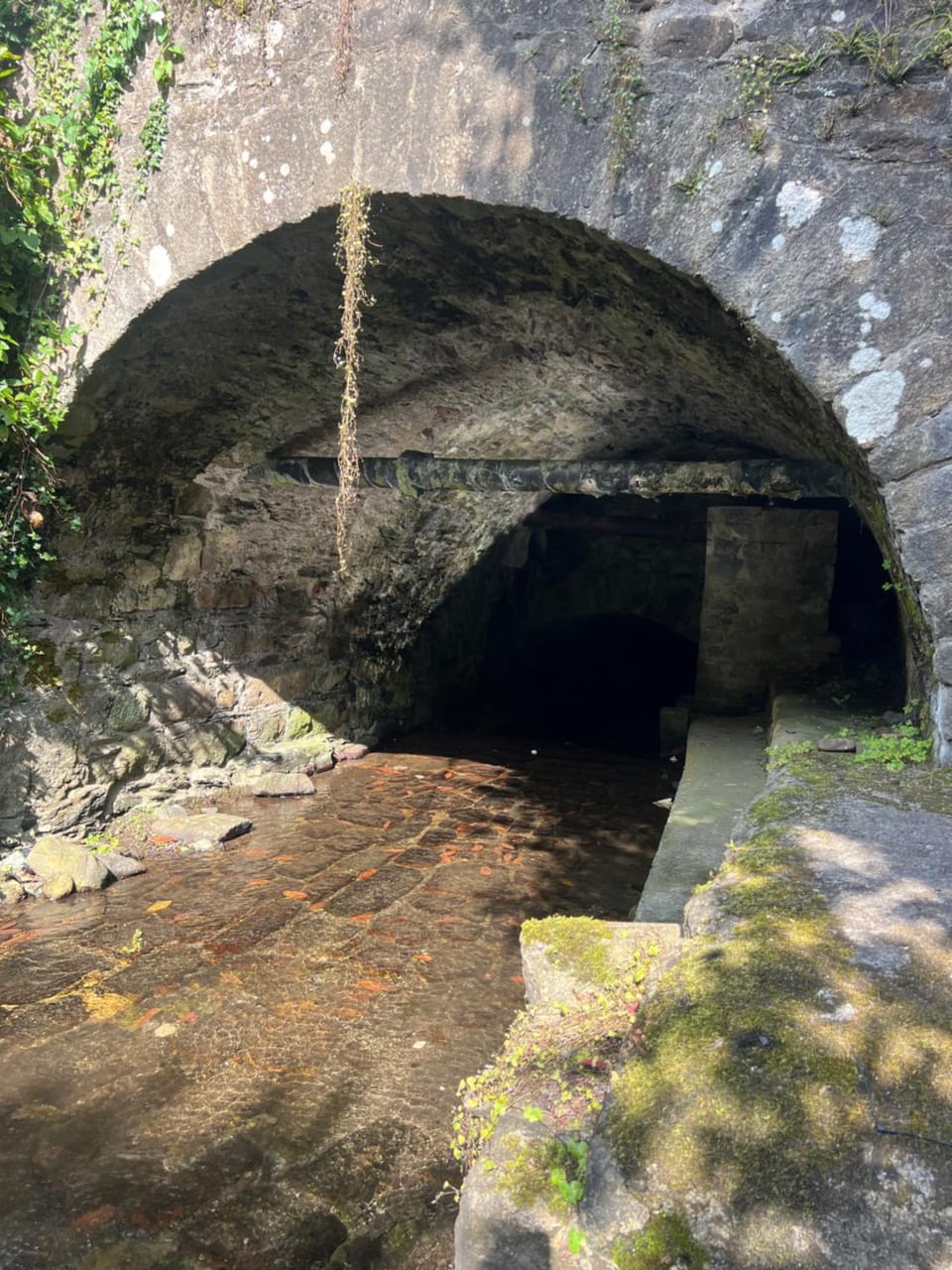 Forge Masters Cottage Luxury Cottage in Village House in County Kilkenny