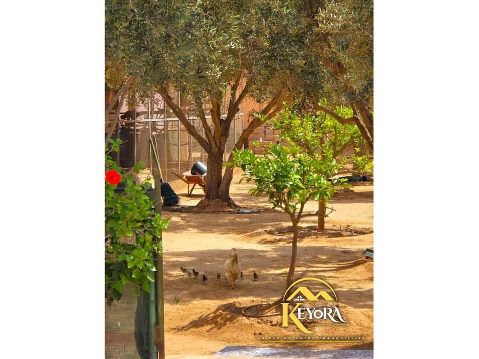 Private Villa on 3600m with a Pool a Garden and a Mini Farm Villa in Souss-Massa