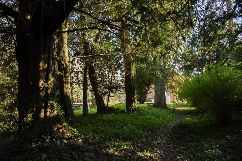 La Selva Bed and Breakfast in Nouvelle-Aquitaine