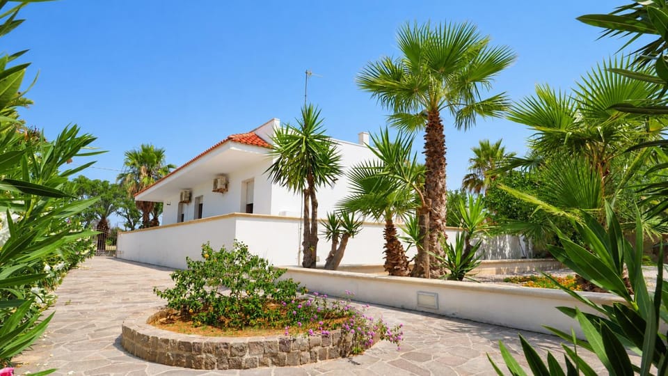 Patio, Garden, Garden view