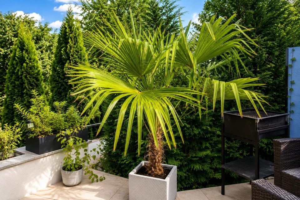 Terrassen Ruheoase Apartment in Dusseldorf
