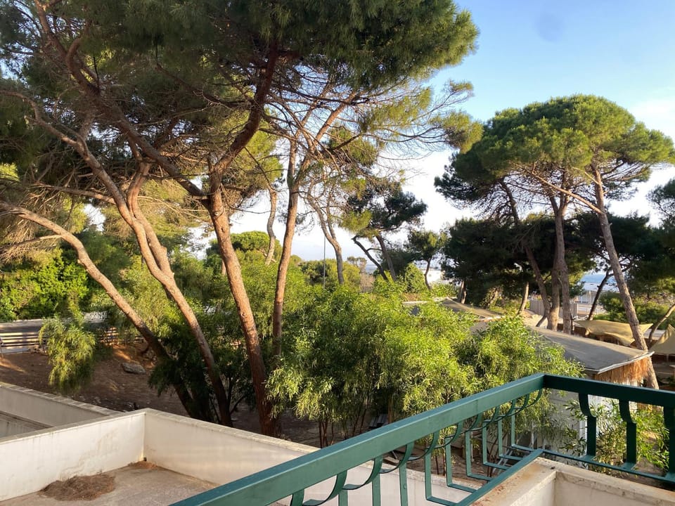 View (from property/room)
