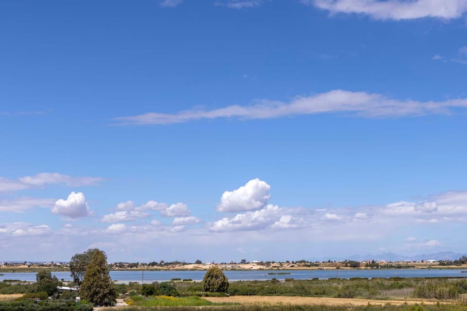 Lake view