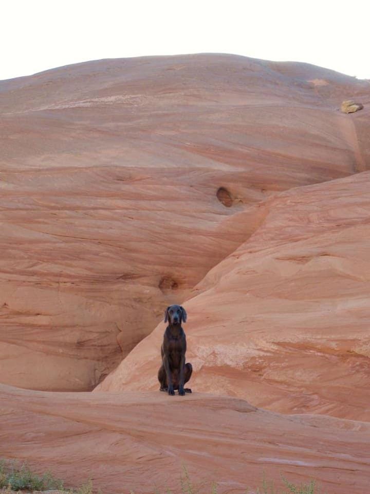 Pet-Friendly Modern Vacation Home with Vermilion Cliffs Views, Boat Parking & Fenced Yard near Horseshoe Bend & Lake Powell, Page Arizona House in Page