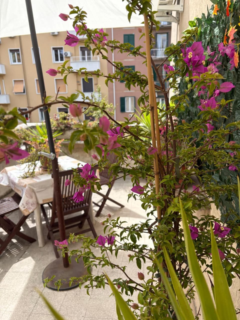 La Casa dei Ricordi Apartment in Rome