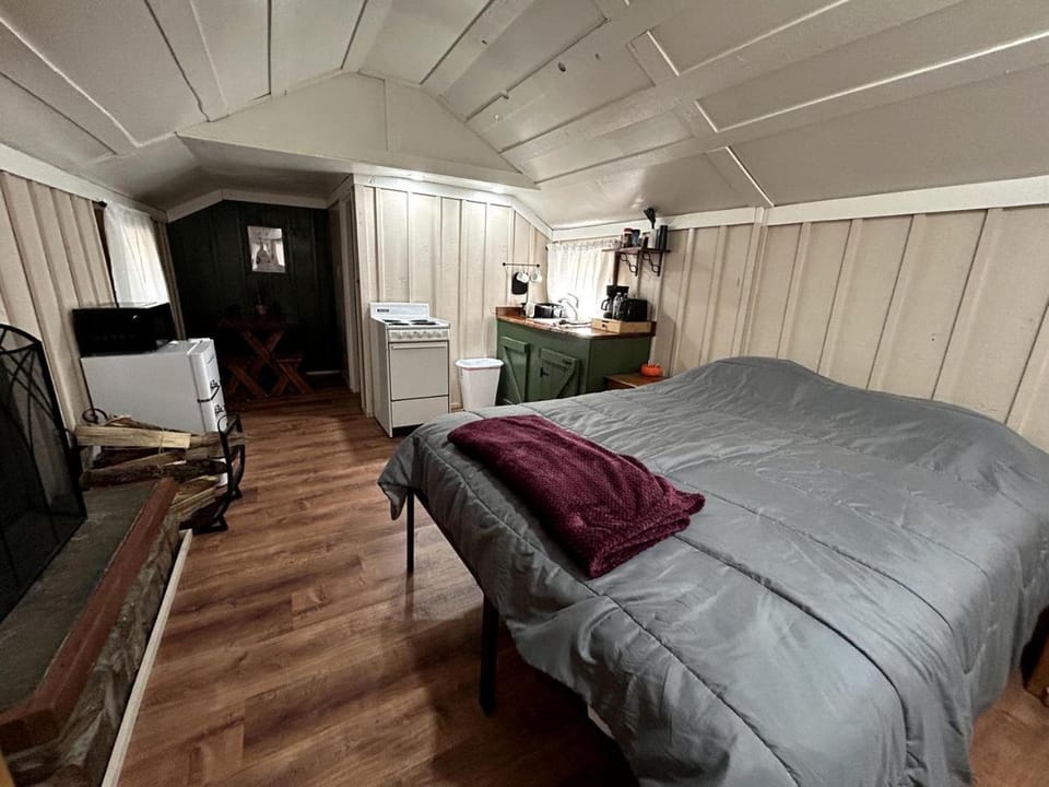 Pet Friendly Studio Cabin with Fireplace near Tonto National Forest, Central Arizona Cabin in Gila County
