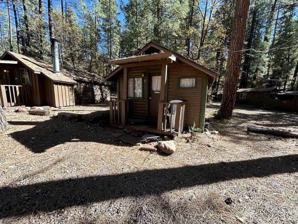 Pet Friendly Studio Cabin with Fireplace near Tonto National Forest, Central Arizona Cabin in Gila County