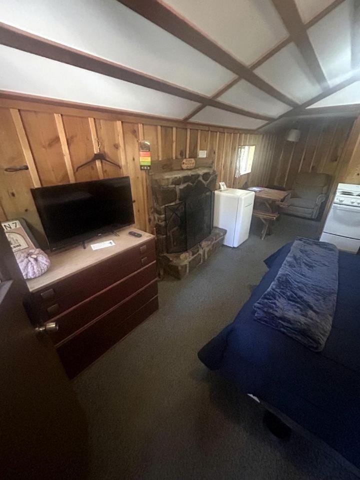 Rustic Studio Cabin with Fireplace, along Tonto National Forest, Perfect for a Weekend of Relaxation Cabin in Gila County