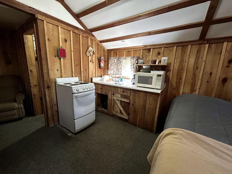 Rustic Studio Cabin with Fireplace, along Tonto National Forest, Perfect for a Weekend of Relaxation Cabin in Gila County