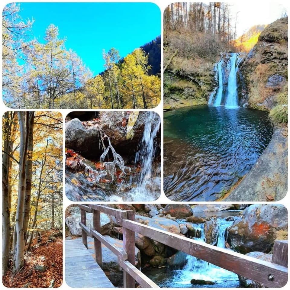 Autumn