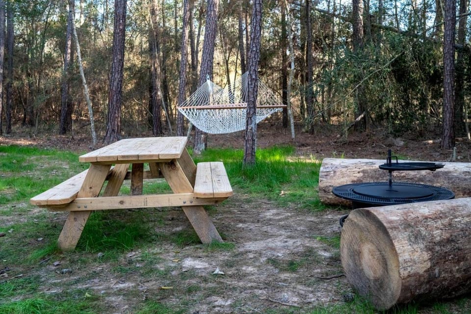 Fantastic Cozy Cabin with Hammock and Fire Pit in Montgomery, Texas Cabin in Lake Conroe