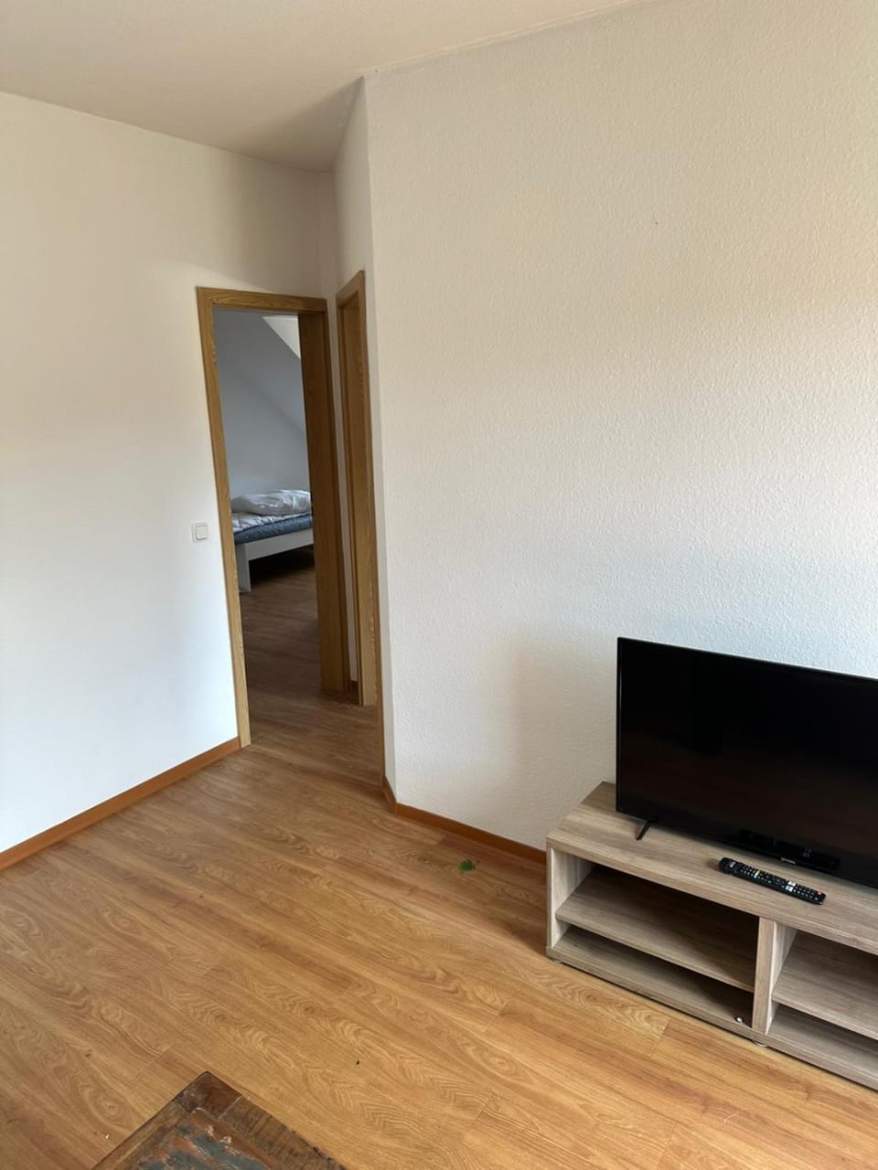 3 Zimmer Wohnung mit Balkon und Waschmaschine Apartment in Mainz-Bingen