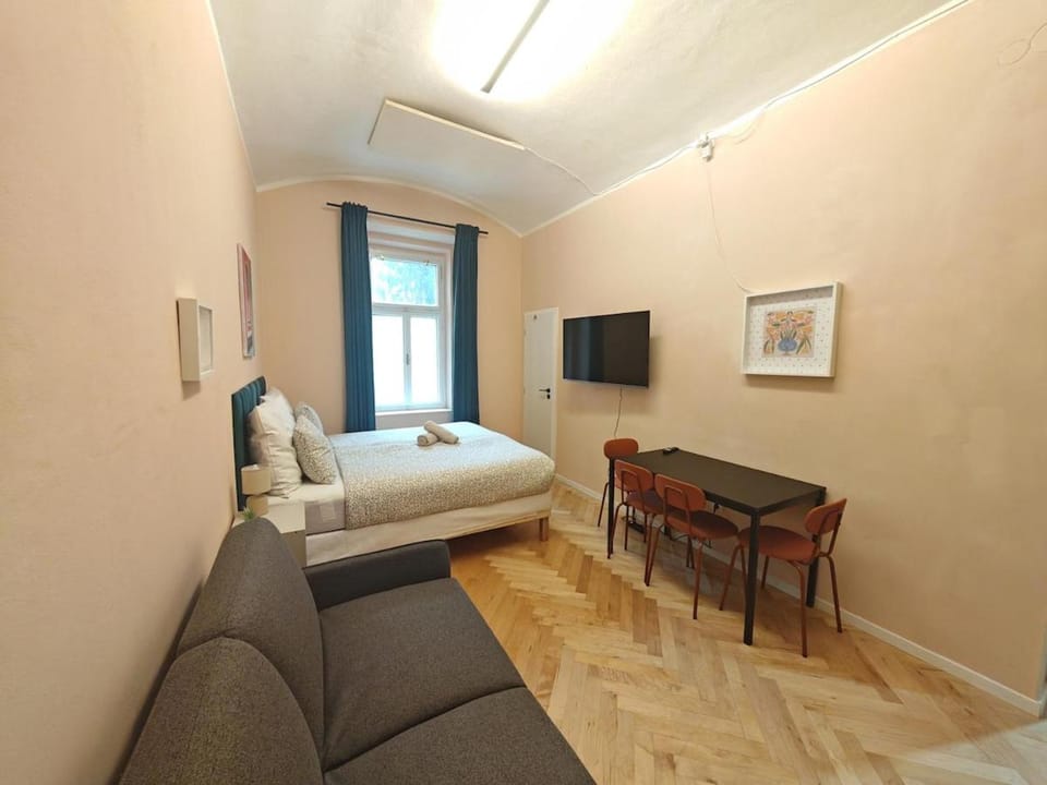 Spacious, Light Studio Apartment in Vinohrady Apartment in Prague
