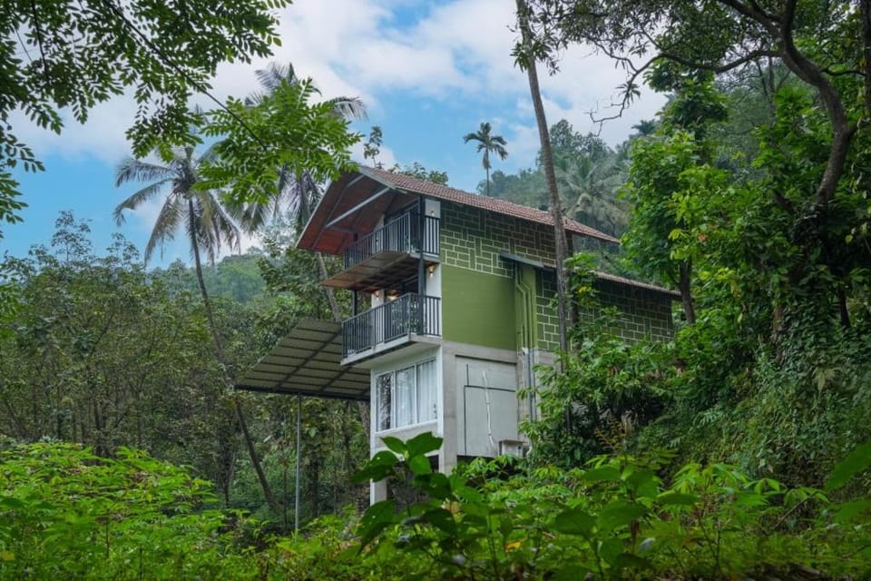 Coffee Mount Homestay Near Paithalmala Kappimala Apartment in Kerala