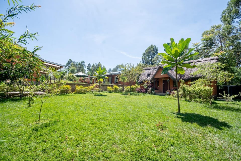 Property building, Spring, Day, Natural landscape, Garden, Garden view